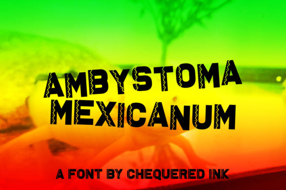 Ambystoma Mexicanum Display Font for Bold Brand Moments
