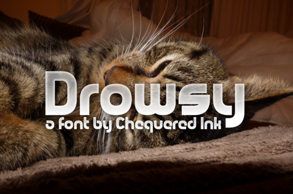 Drowsy Font: A Display Typeface for Elegant Branding Moments