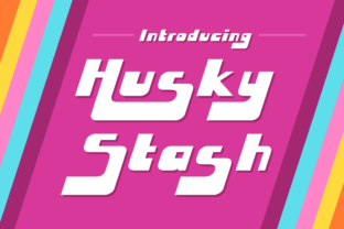 Husky Stash: A Retro Display Font for Editorial Design